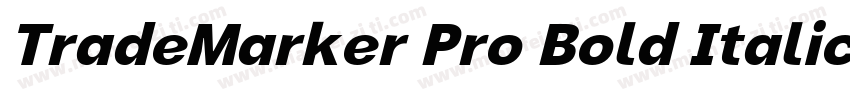TradeMarker Pro Bold Italic字体转换